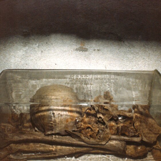 Macabre memorial: the glass sarcophagus containing the remains of Alberik Zwyssig.