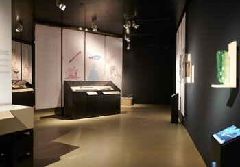 The second life of things. Stone, metal, plastic | © Swiss National Museum